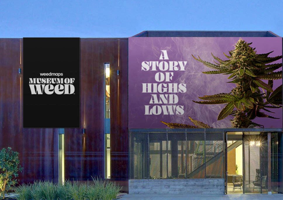 The Ultimate Guide to the Weedmaps Museum of Weed